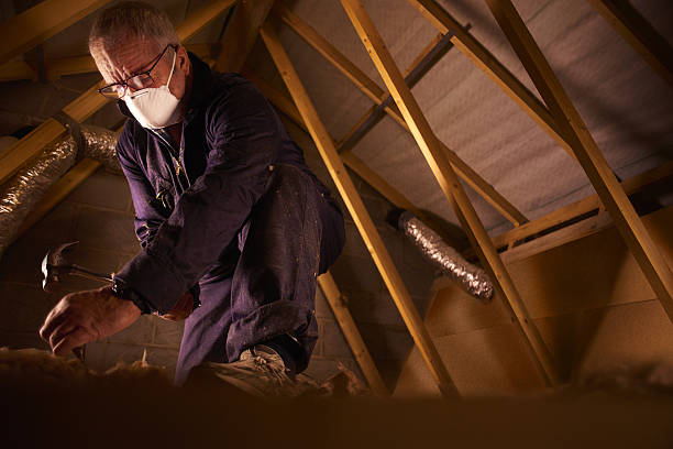 Best Insulation Maintenance and Repair in Inkster, MI