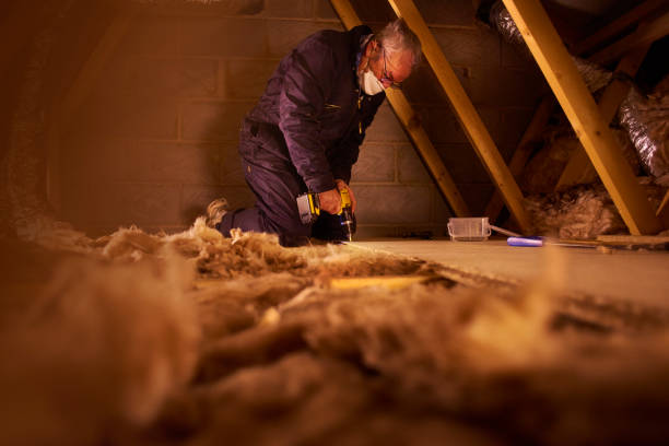Best Insulation Maintenance and Repair in Inkster, MI